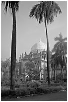 Chhatrapati Shivaji Mahraj Vastu Sangrahalaya gardens. Mumbai, Maharashtra, India (black and white)