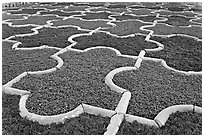 Geometric patterns in Anguri Bagh garden, Agra Fort. Agra, Uttar Pradesh, India ( black and white)