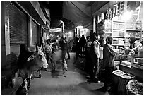 Sacred cow and street by night, Taj Ganj. Agra, Uttar Pradesh, India ( black and white)