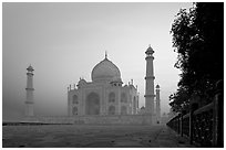 Mausoleum at sunrise, Taj Mahal. Agra, Uttar Pradesh, India (black and white)