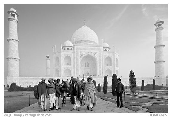 Men with turbans and cows in front of Taj Mahal, early morning. Agra, Uttar Pradesh, India