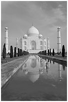 Taj Mahal reflected in basin, morning. Agra, Uttar Pradesh, India ( black and white)