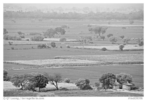 Fields in countryside. Fatehpur Sikri, Uttar Pradesh, India (black and white)