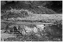 Pond and bird, Keoladeo Ghana National Park. Bharatpur, Rajasthan, India (black and white)