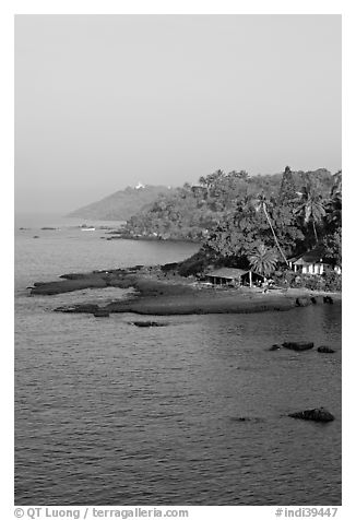 Coastline with palm trees, Dona Paula. Goa, India (black and white)