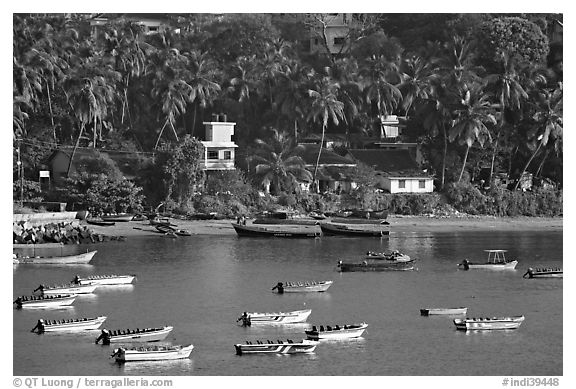 Boats, and palm-tree covered hillside, Dona Paula. Goa, India (black and white)