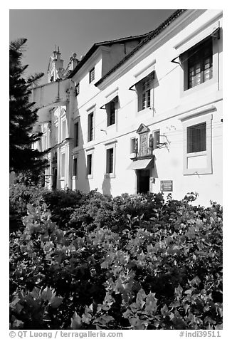 Convent of St Monica and flowers, Old Goa. Goa, India (black and white)