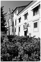 Convent of St Monica and flowers, Old Goa. Goa, India (black and white)