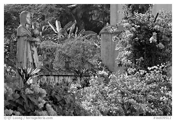 Flowers in yard of Convent of St Monica , Old Goa. Goa, India