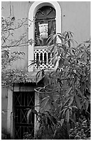 Yard and blue facade, Panaji. Goa, India ( black and white)