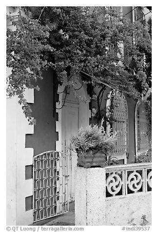 House facade with flowers, Panaji. Goa, India (black and white)