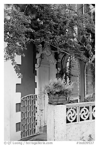 House facade with flowers, Panaji. Goa, India