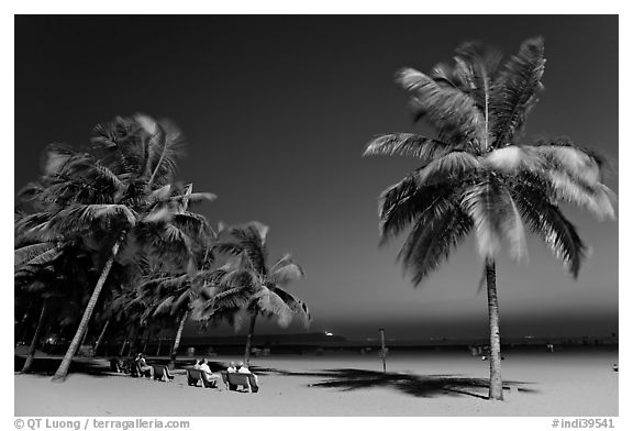 People sitting on bench below palm trees at twilight, Miramar Beach. Goa, India (black and white)