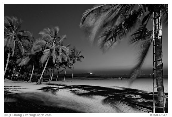 Miramar Beach at twilight. Goa, India (black and white)
