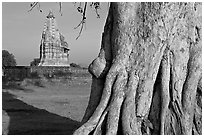 Javari Temple and tree, Eastern Group, late afternoon. Khajuraho, Madhya Pradesh, India (black and white)