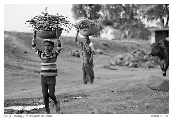 Villagers gathering wood. Khajuraho, Madhya Pradesh, India (black and white)