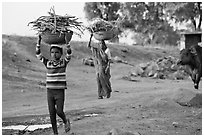 Villagers gathering wood. Khajuraho, Madhya Pradesh, India (black and white)