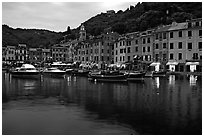 Harbor and hills at dusk, Portofino. Liguria, Italy ( black and white)