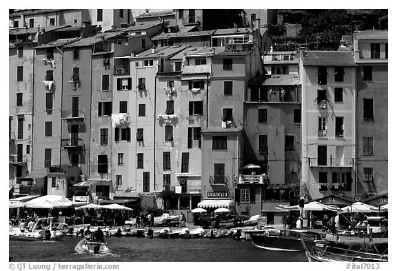 Harbor and townhouses, Porto Venere. Liguria, Italy (black and white)