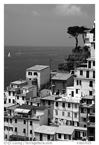 Houses built on the sides of a steep ravine overlook the Mediterranean, Riomaggiore. Cinque Terre, Liguria, Italy (black and white)