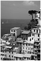 Houses built on the sides of a steep ravine overlook the Mediterranean, Riomaggiore. Cinque Terre, Liguria, Italy (black and white)