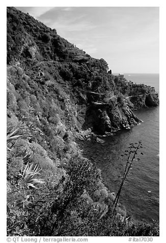Coastline and cliffs along the Via dell'Amore (Lover's Lane), near Manarola. Cinque Terre, Liguria, Italy (black and white)