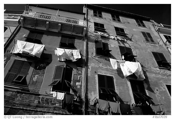 Typical terra cotta facade with clothelines and green shutters,  Vernazza. Cinque Terre, Liguria, Italy (black and white)
