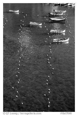 Buoy lines and fishing boats seen from above, Vernazza. Cinque Terre, Liguria, Italy (black and white)