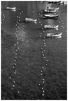 Buoy lines and fishing boats seen from above, Vernazza. Cinque Terre, Liguria, Italy (black and white)