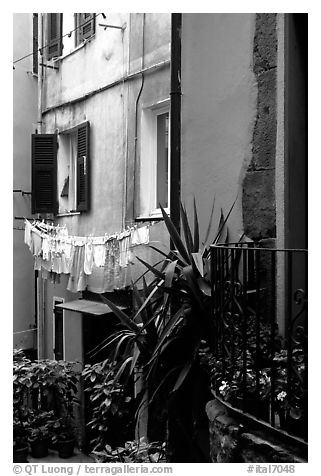 Courtyard, Vernazza. Cinque Terre, Liguria, Italy (black and white)
