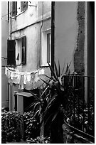 Courtyard, Vernazza. Cinque Terre, Liguria, Italy ( black and white)