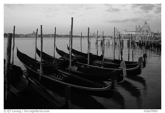 Gondolas, Canale della Guidecca, Santa Maria della Salute church at dawn. Venice, Veneto, Italy (black and white)