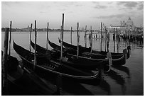Gondolas, Canale della Guidecca, Santa Maria della Salute church at dawn. Venice, Veneto, Italy ( black and white)