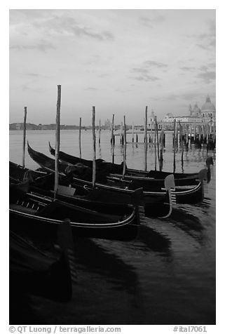Parked gondolas, Canale della Guidecca, Santa Maria della Salute church at dawn. Venice, Veneto, Italy (black and white)