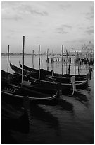 Parked gondolas, Canale della Guidecca, Santa Maria della Salute church at dawn. Venice, Veneto, Italy ( black and white)