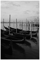 Parked gondolas, Canale della Guidecca, Santa Maria della Salute church at dawn. Venice, Veneto, Italy (black and white)