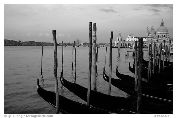 Moored Gondolas, Canale della Guidecca, Santa Maria della Salute church at sunrise. Venice, Veneto, Italy