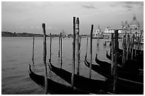 Moored Gondolas, Canale della Guidecca, Santa Maria della Salute church at sunrise. Venice, Veneto, Italy (black and white)