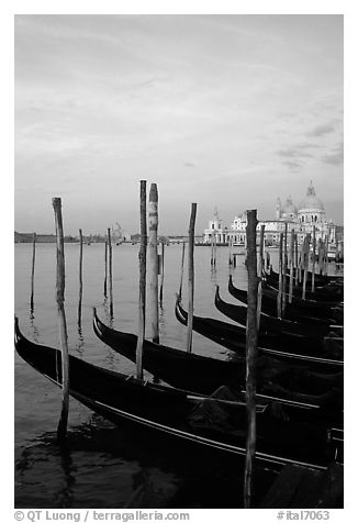 Parked gondolas, Canale della Guidecca, church Santa Maria della Salute, sunrise. Venice, Veneto, Italy (black and white)