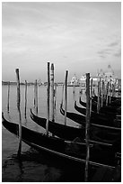 Parked gondolas, Canale della Guidecca, church Santa Maria della Salute, sunrise. Venice, Veneto, Italy ( black and white)