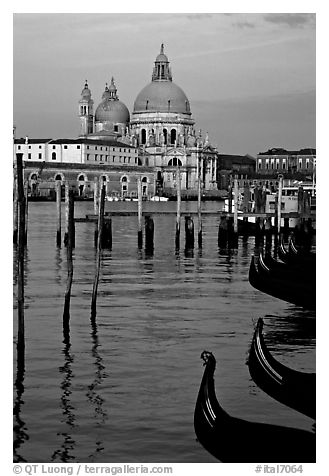 Moored gondolas, Canale della Guidecca, Santa Maria della Salute church at sunrise. Venice, Veneto, Italy (black and white)