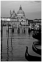 Moored gondolas, Canale della Guidecca, Santa Maria della Salute church at sunrise. Venice, Veneto, Italy ( black and white)