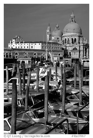 Water taxis and Santa Maria della Salute church, early morning. Venice, Veneto, Italy