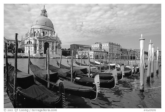 Gondolas, Grand Canal, Santa Maria della Salute church, morning. Venice, Veneto, Italy (black and white)