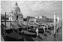 Gondolas, Grand Canal, Santa Maria della Salute church, morning. Venice, Veneto, Italy ( black and white)