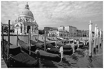 Gondolas, Grand Canal, Santa Maria della Salute church, morning. Venice, Veneto, Italy (black and white)