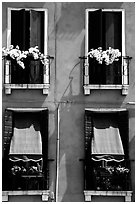 Windows, shutters, and flowers. Venice, Veneto, Italy (black and white)