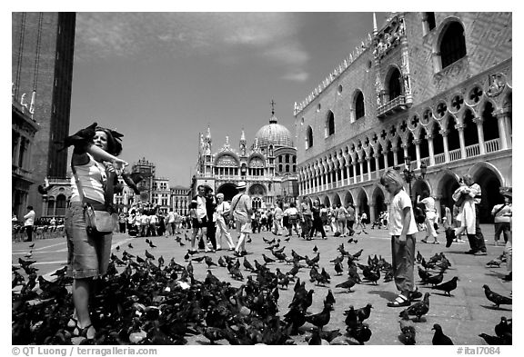 Tourists feeding  pigeons, Piazzetta San Marco (Square Saint Mark), mid-day. Venice, Veneto, Italy