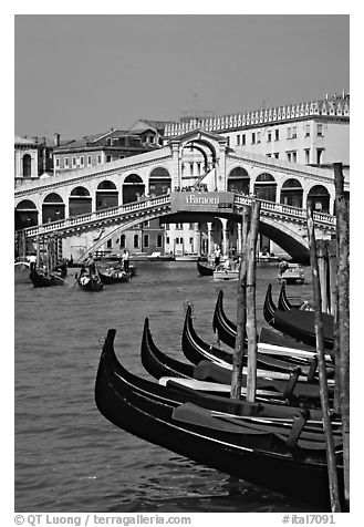 Gondolas and Rialto Bridge. Venice, Veneto, Italy (black and white)