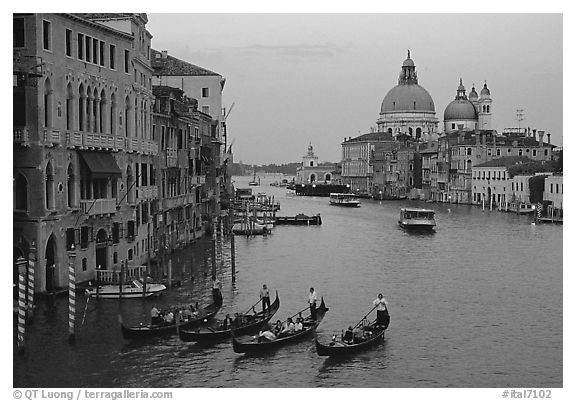 Gondolas, Grand Canal, Santa Maria della Salute church from the Academy Bridge,  sunset. Venice, Veneto, Italy (black and white)